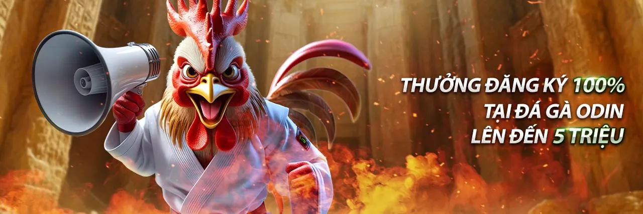 Đá Gà Trực Tuyến gk88.com - Trải Nghiệm Đỉnh Cao