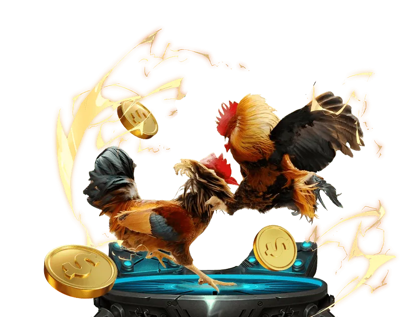 Các Loại Hình Đá Gà Phổ Biến tại gk88.com